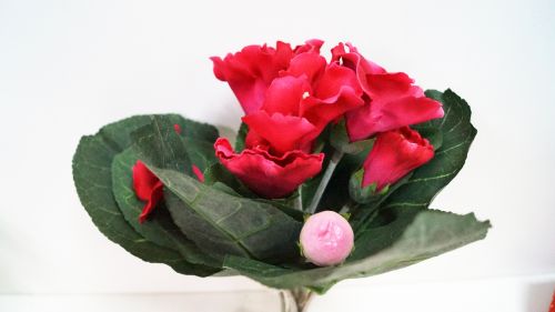 Bouquet of artificial primrose