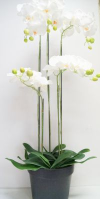 Орхидея бяла в кашпа изкуствена лукс