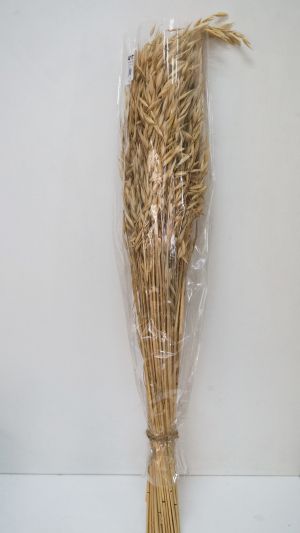 Сноп жито-70 см естествен
