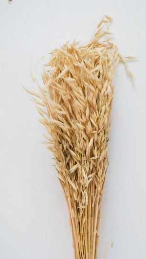 Сноп жито-70 см естествен