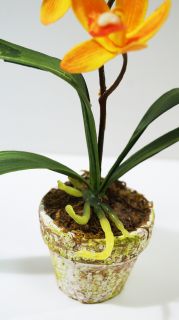 Орхидея оранж в керамична саксия